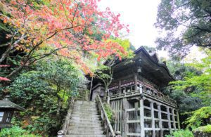 Natadera temple Autumn leaves Kanazawa Japan, by TK Kurikawa