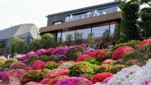 Tokyo in Bloom 10 Botanical Cafés for a Lush Escape, image by Christina Fuerstenau, Shutterstock