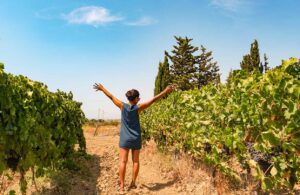 Vineyard growing Nerello mascalese in Agrigento, Image by fokke baarssen, Shutterstock
