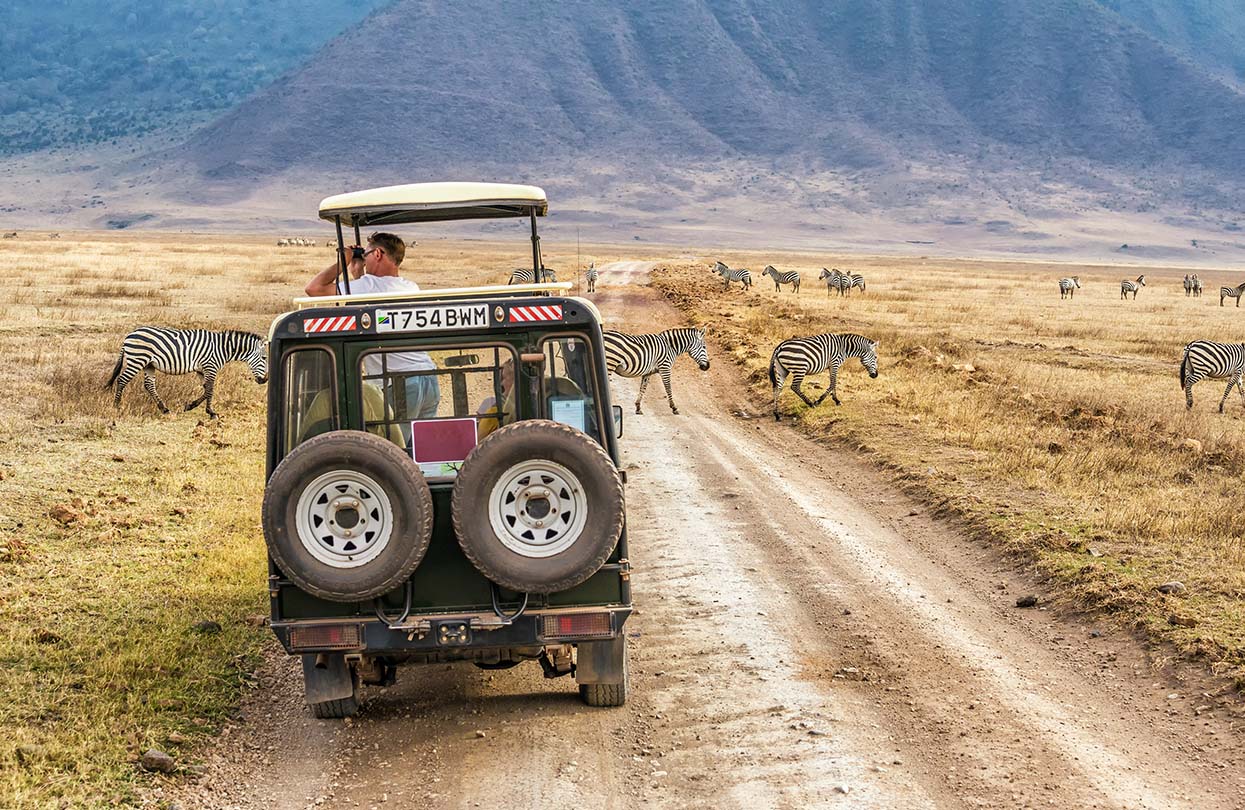 Zebra spotting in Ngorongoro conservation area, Image by Nick Fox, Shutterstock