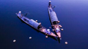 Hoi an Vietnam, Image by Nguyen Quang Ngoc Tonkin, Shutterstock