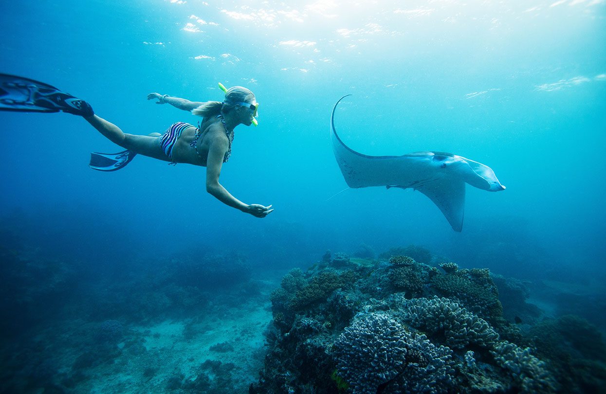 Snorkeling with rays, Image by CCISUL, Shutterstock Snorkeling with rays, Image by CCISUL, Shutterstock