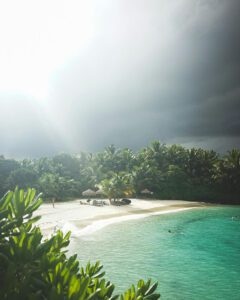 Photo by Daria Klet, Pexels